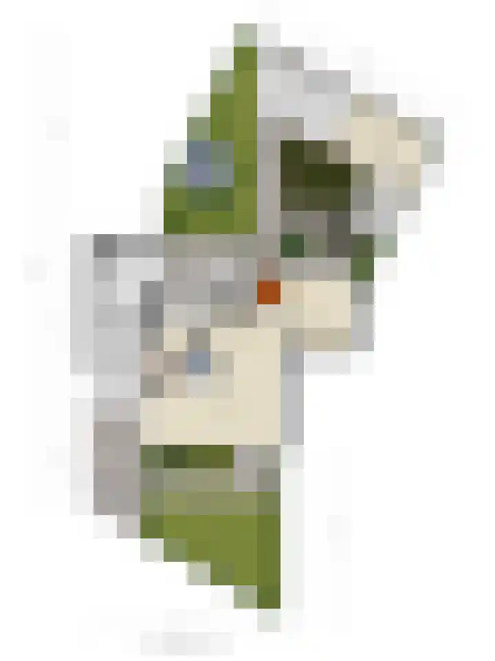 Hoogeindseweg 50 Goirle thumbnail 70