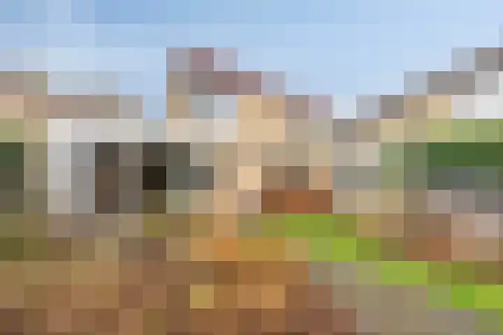 Hoogeindseweg 50 Goirle thumbnail 8