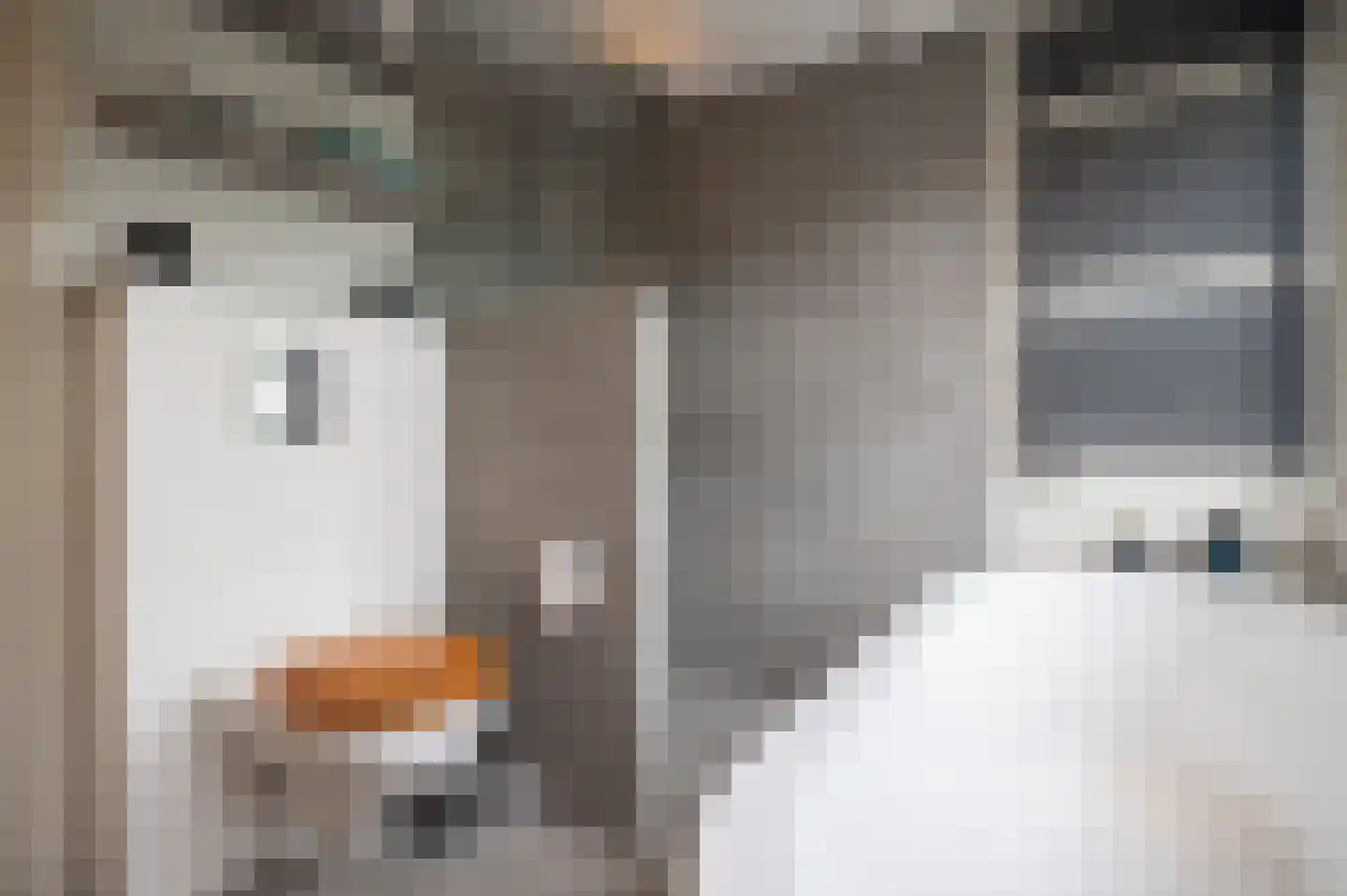 Hoogeindseweg 9 Gellicum thumbnail 36