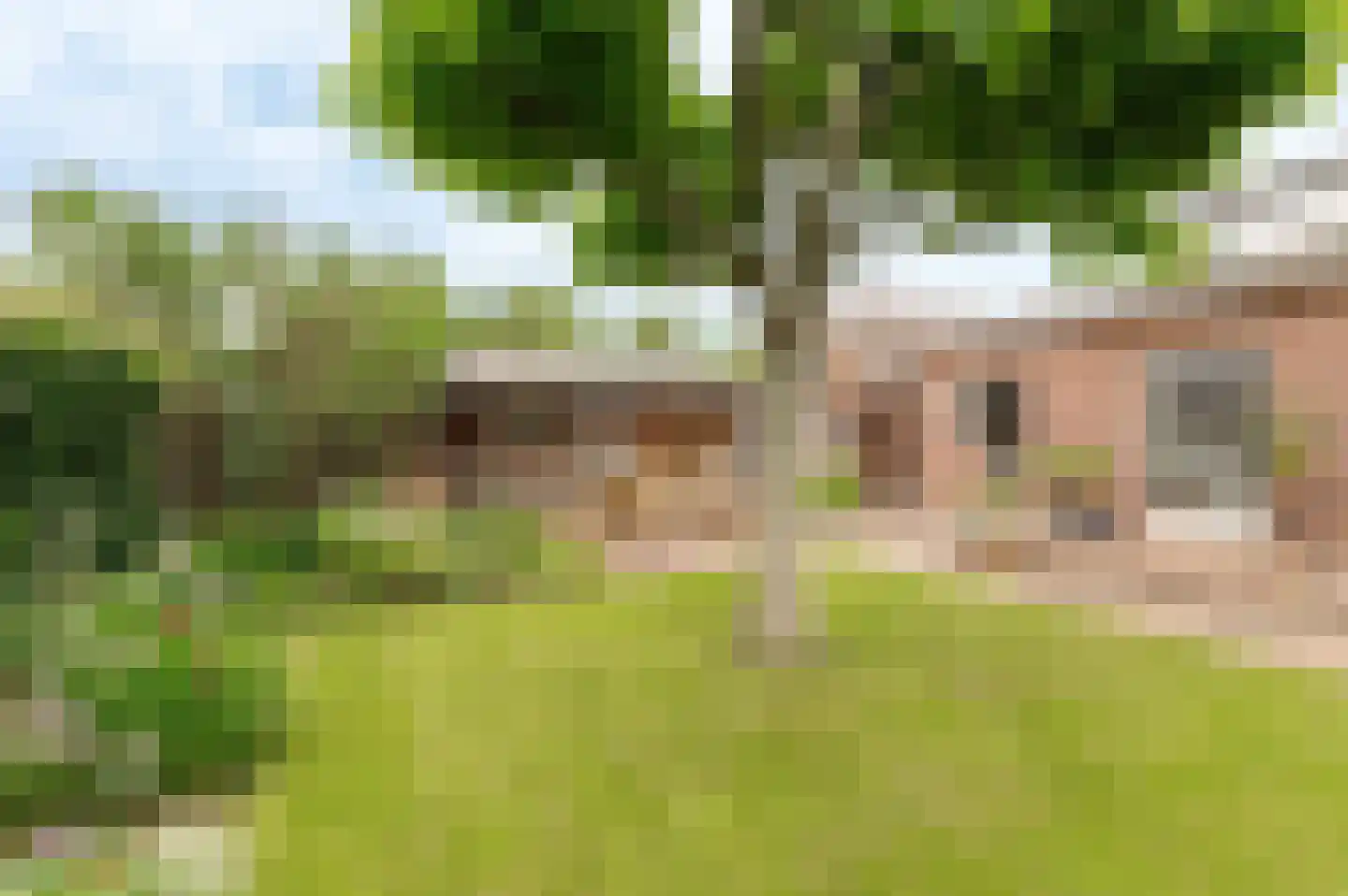 Hoogeindseweg 9 Gellicum thumbnail 41
