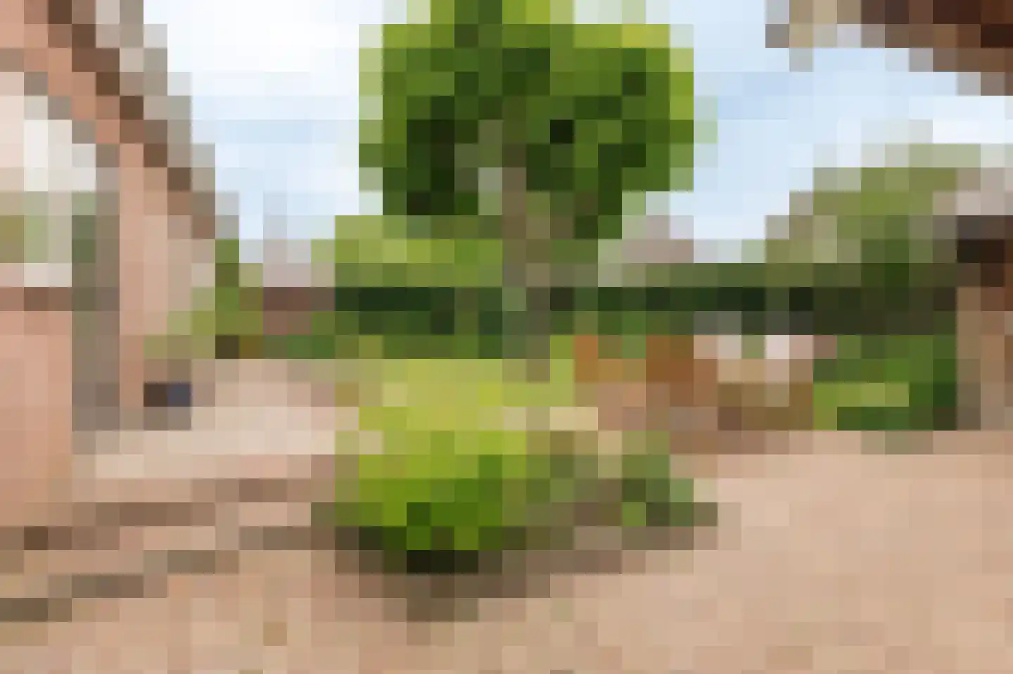 Hoogeindseweg 9 Gellicum thumbnail 48