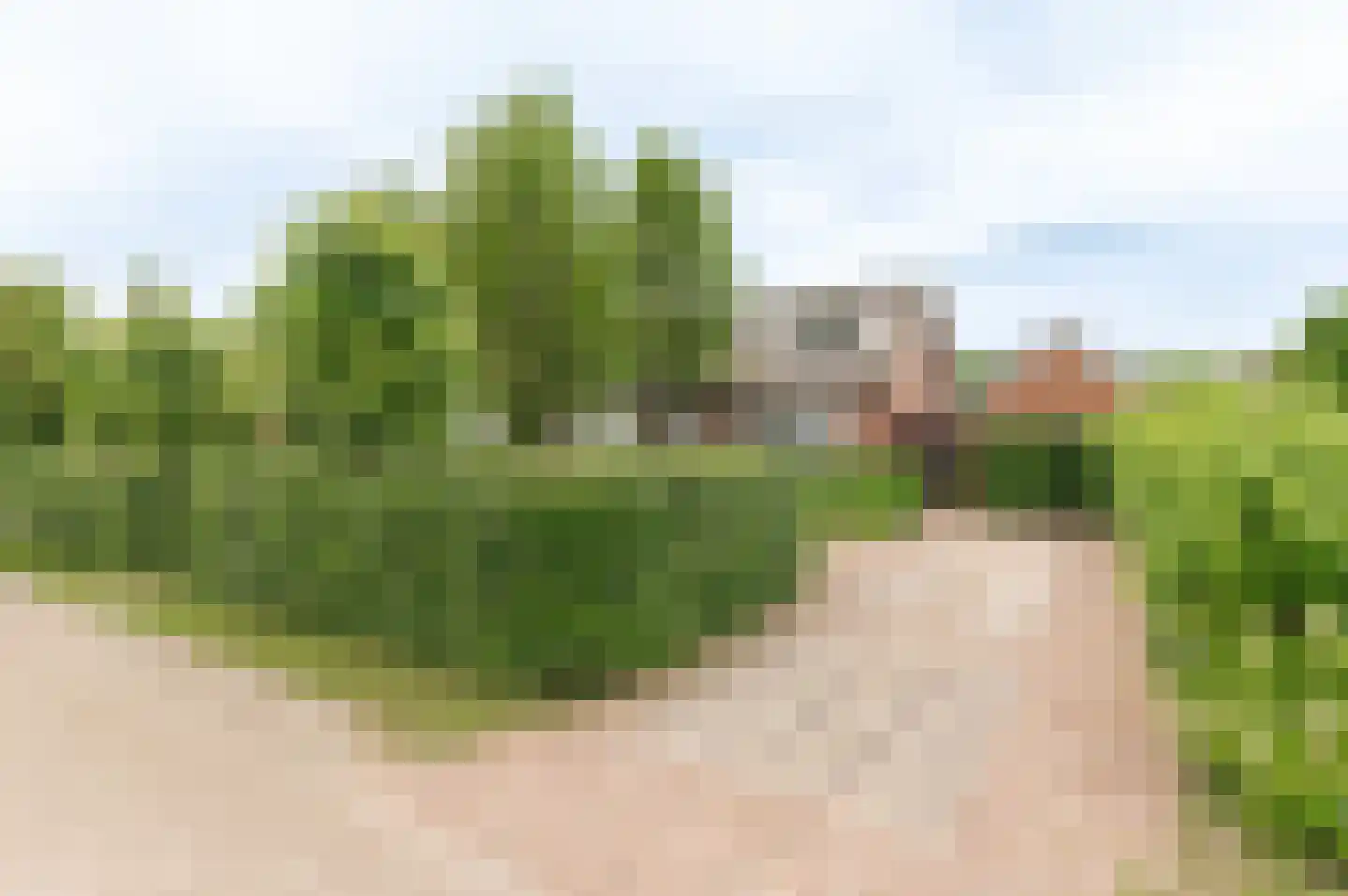 Hoogeindseweg 9 Gellicum thumbnail 5