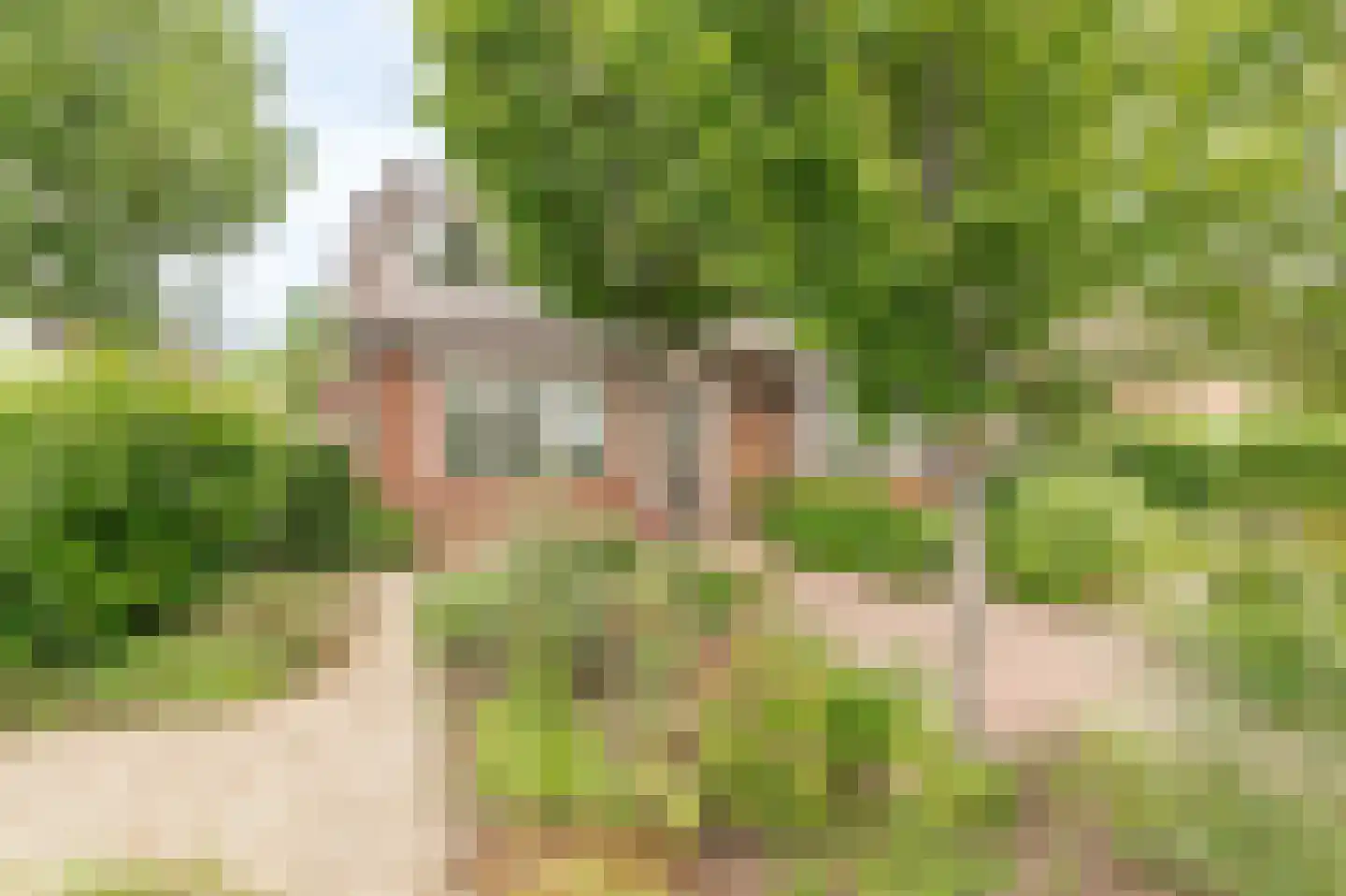 Hoogeindseweg 9 Gellicum thumbnail 50