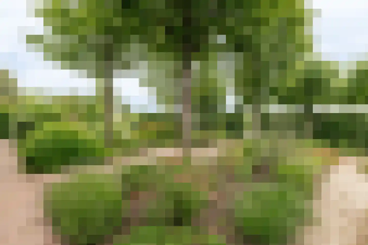 Hoogeindseweg 9 Gellicum thumbnail 51