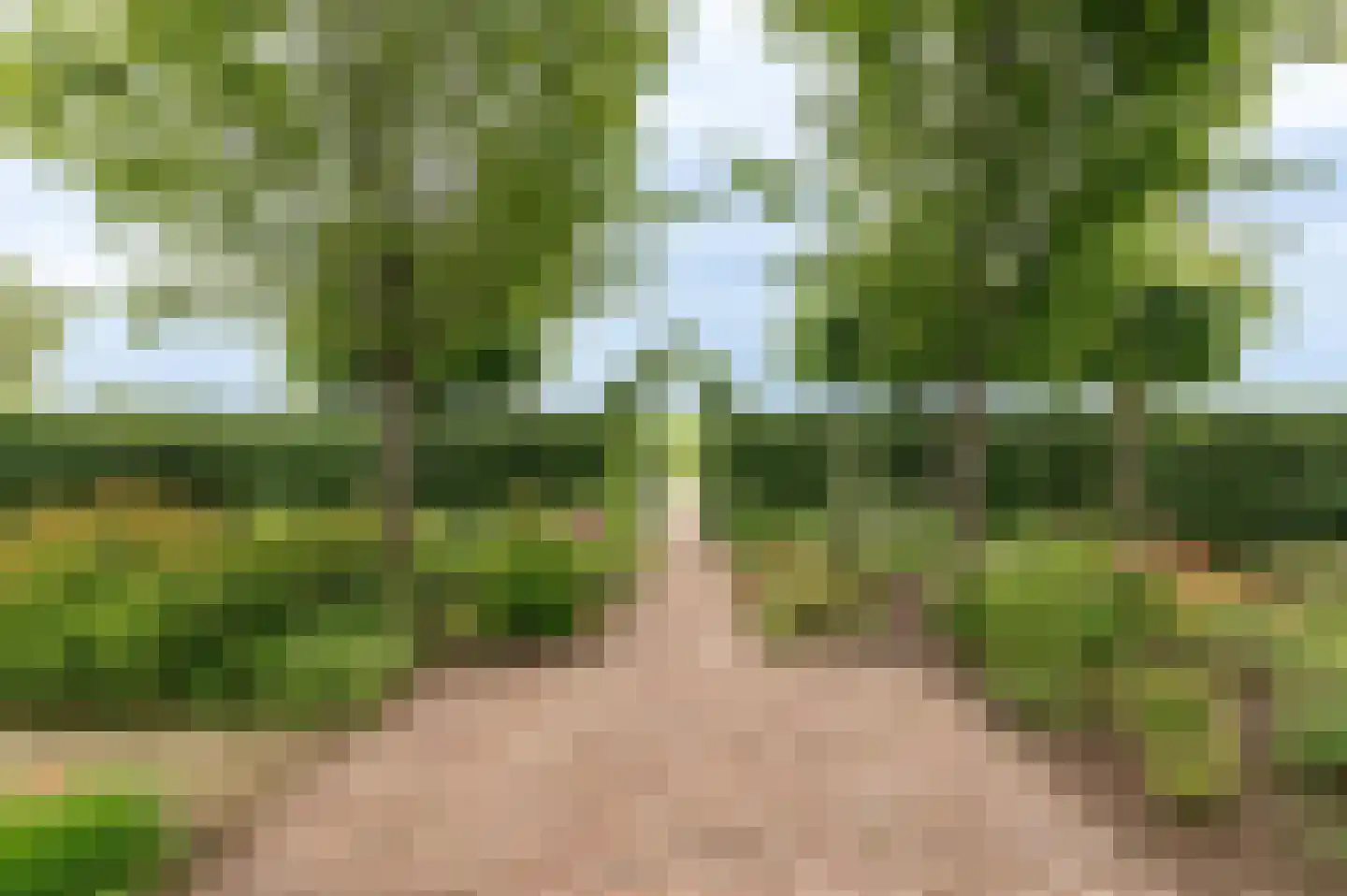Hoogeindseweg 9 Gellicum thumbnail 52