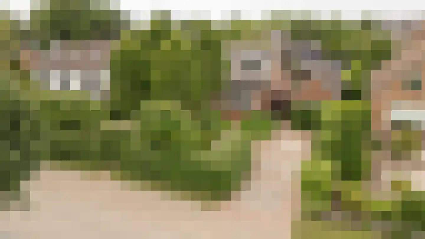 Hoogeindseweg 9 Gellicum thumbnail 54