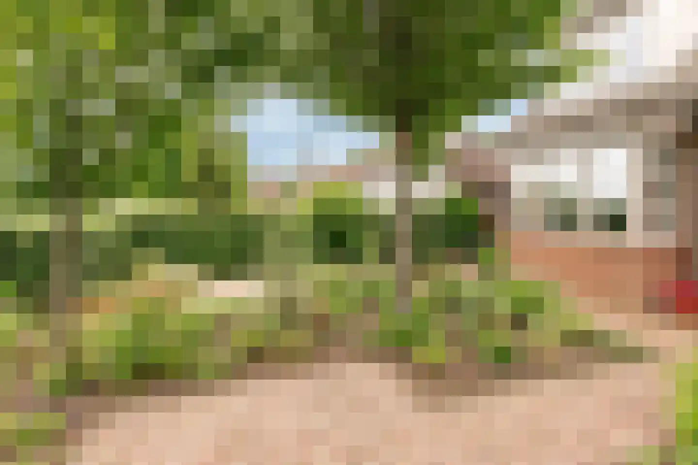 Hoogeindseweg 9 Gellicum thumbnail 6