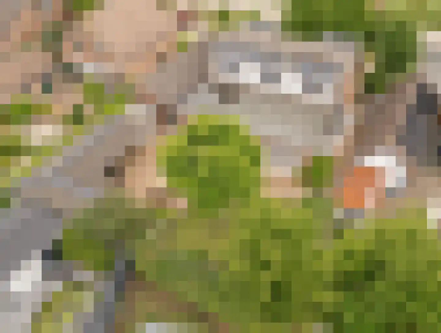 Hoogeindseweg 9 Gellicum thumbnail 61