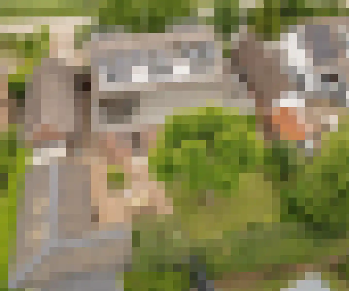 Hoogeindseweg 9 Gellicum thumbnail 62
