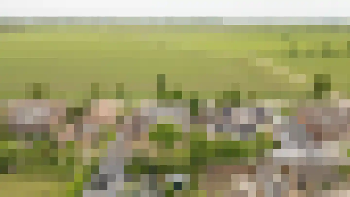 Hoogeindseweg 9 Gellicum thumbnail 63