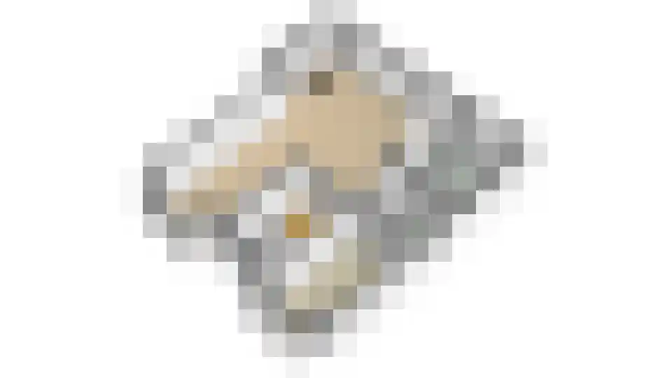 Hoogeindseweg 9 Gellicum thumbnail 66