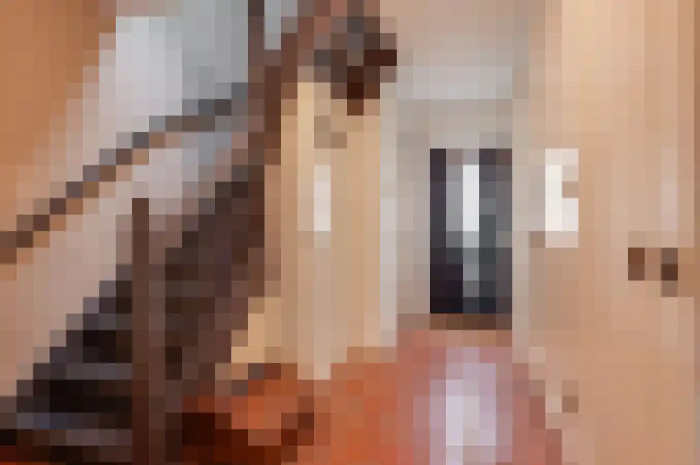 Hoogeindseweg 9 Gellicum thumbnail 7