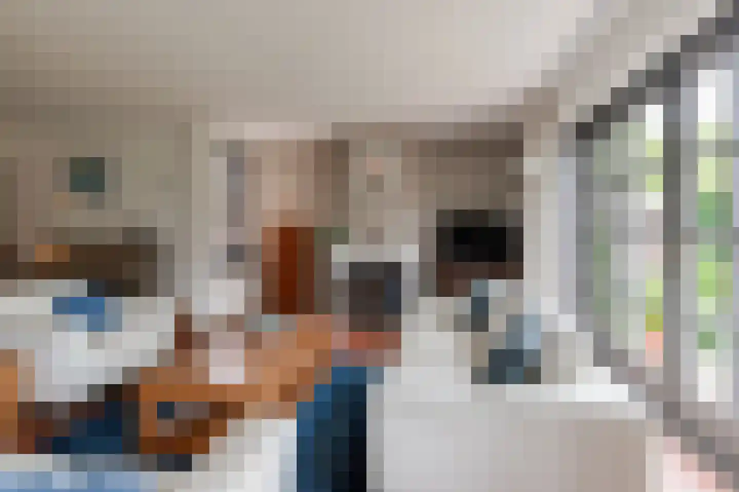 Hoogeindseweg 9 Gellicum thumbnail 9