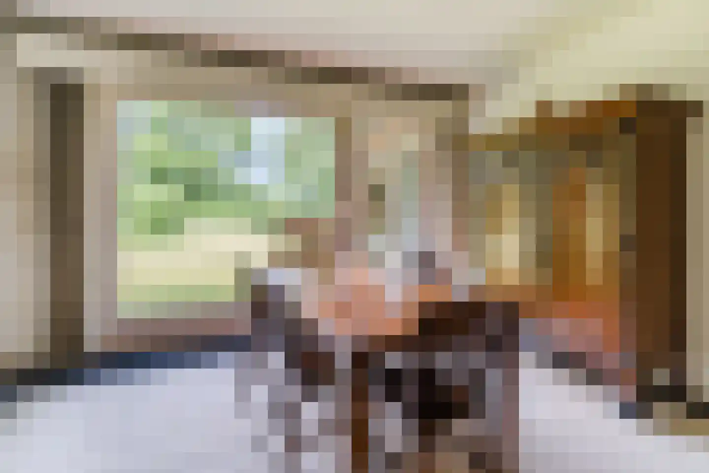 Hoogemierdseweg 20 Lage Mierde thumbnail 16