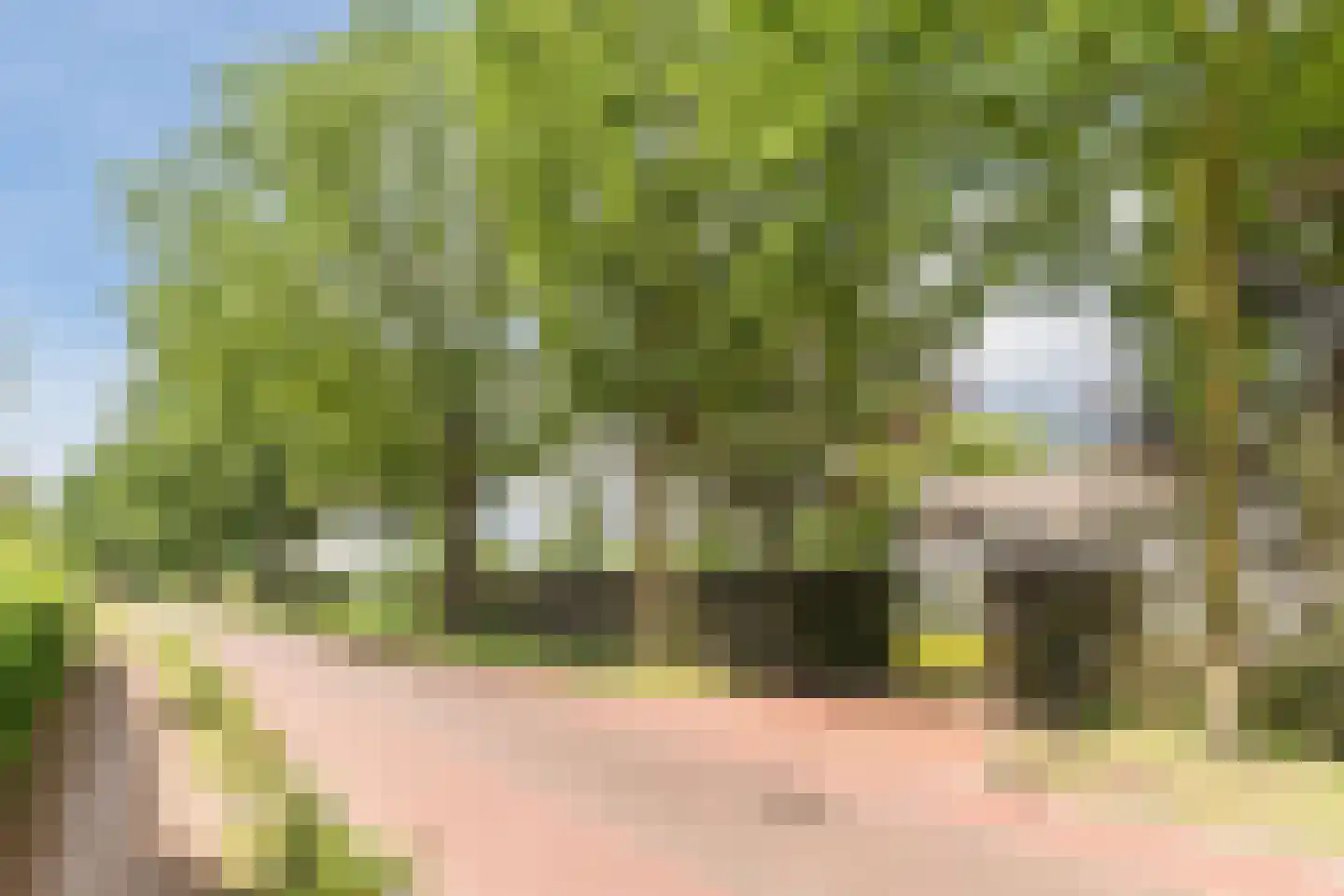 Hoogemierdseweg 20 Lage Mierde foto 2