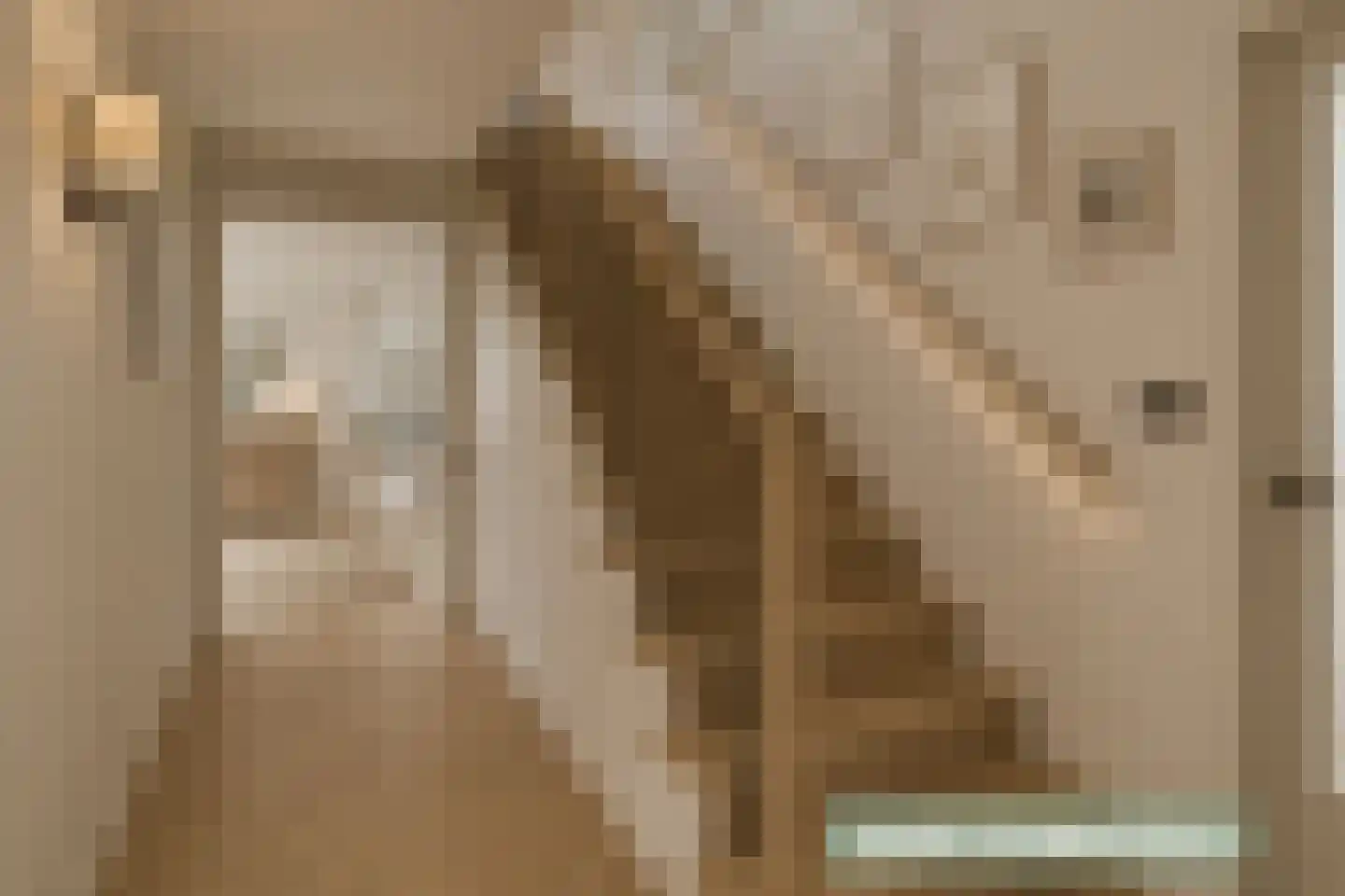 Hoogemierdseweg 20 Lage Mierde thumbnail 20