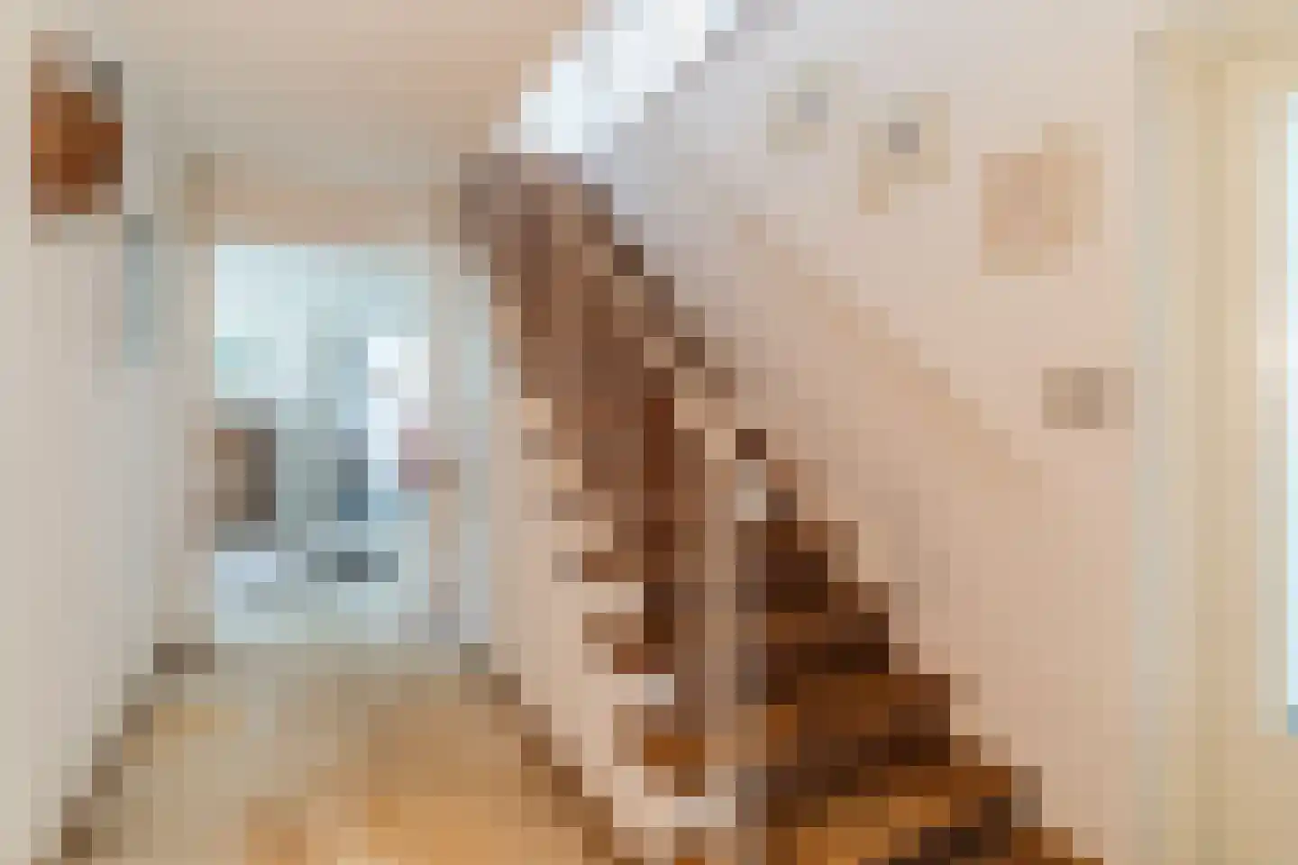 Hoogemierdseweg 20 Lage Mierde thumbnail 21