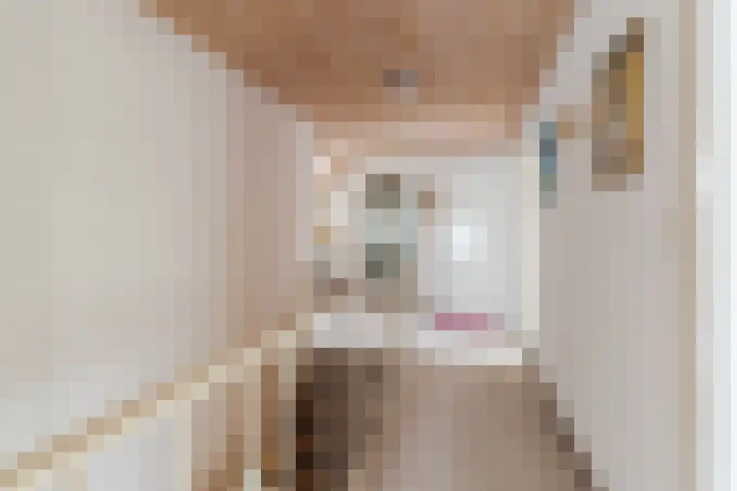 Hoogemierdseweg 20 Lage Mierde thumbnail 23