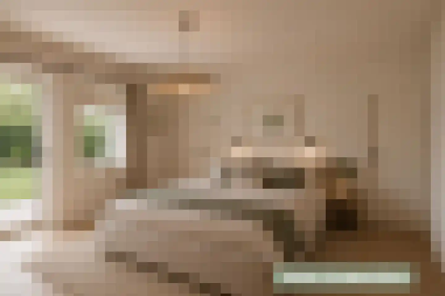 Hoogemierdseweg 20 Lage Mierde thumbnail 24