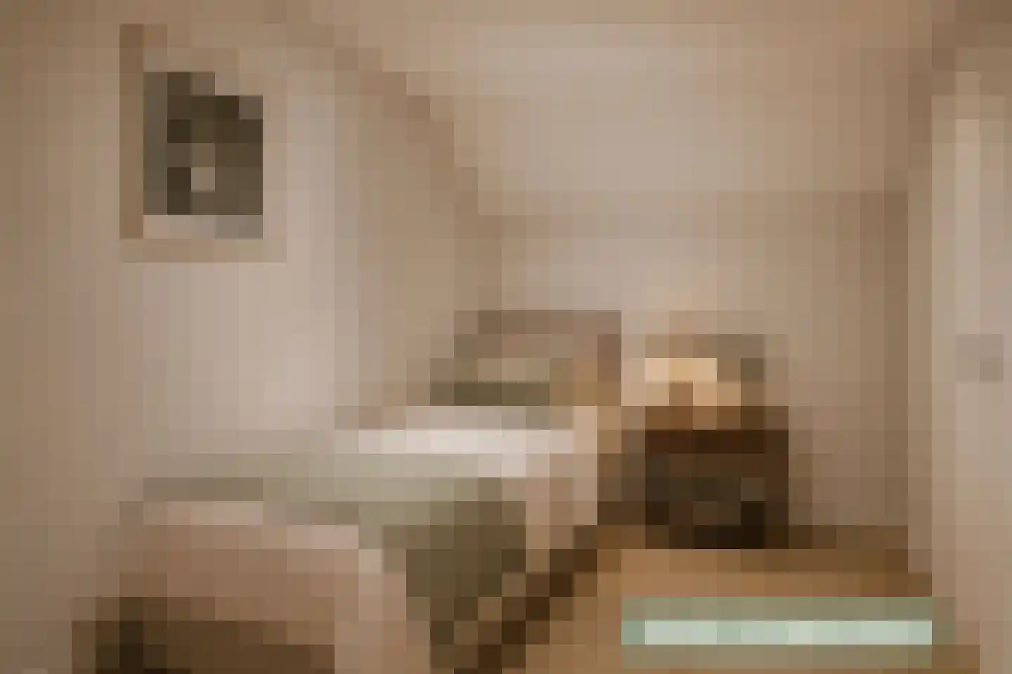 Hoogemierdseweg 20 Lage Mierde thumbnail 26