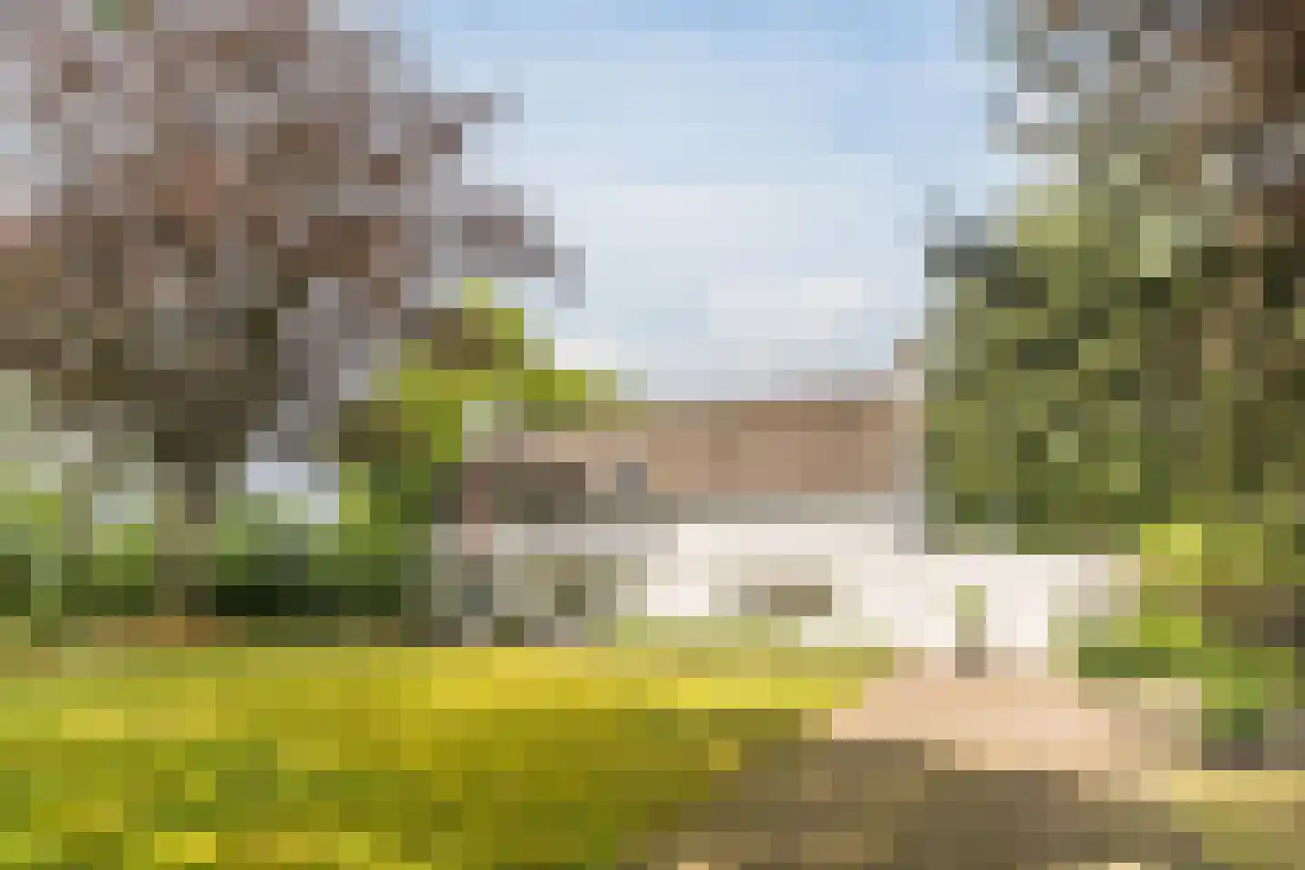 Hoogemierdseweg 20 Lage Mierde foto 3