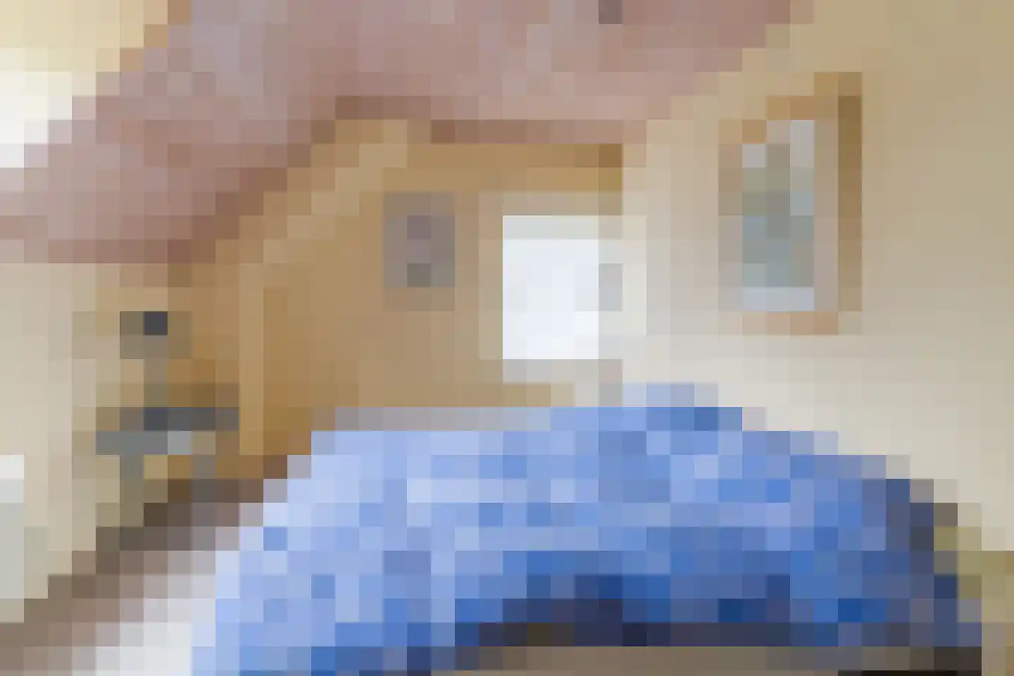 Hoogemierdseweg 20 Lage Mierde thumbnail 31