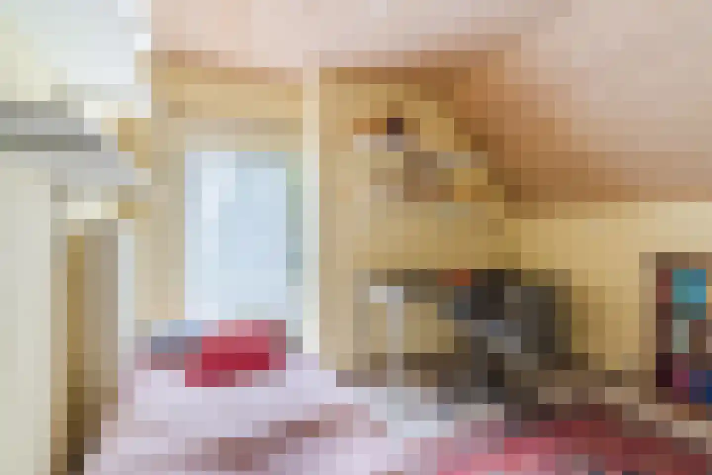 Hoogemierdseweg 20 Lage Mierde thumbnail 32