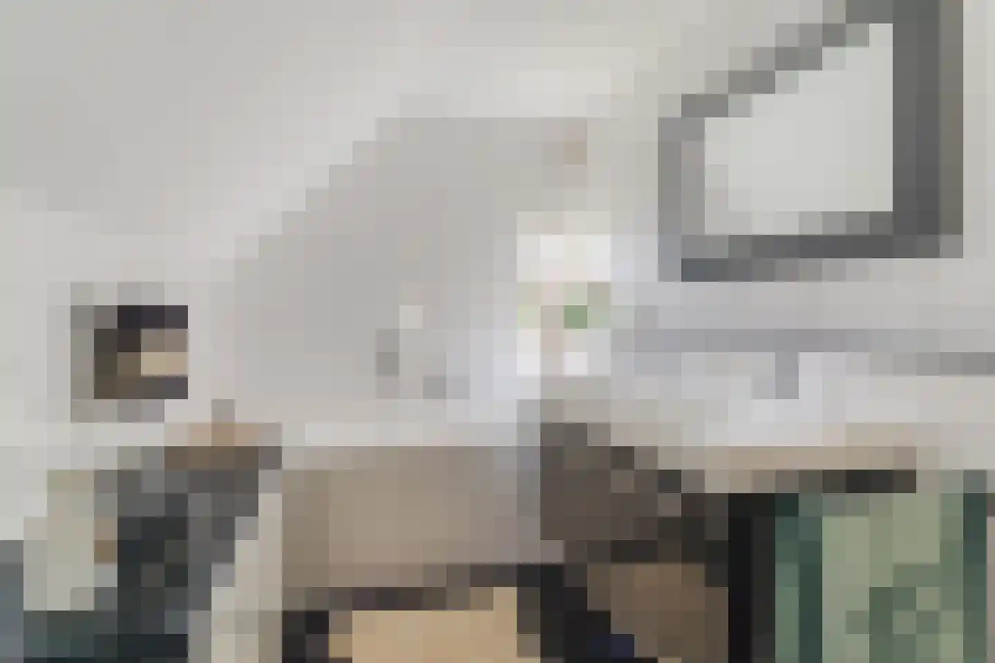 Hoogemierdseweg 20 Lage Mierde thumbnail 35