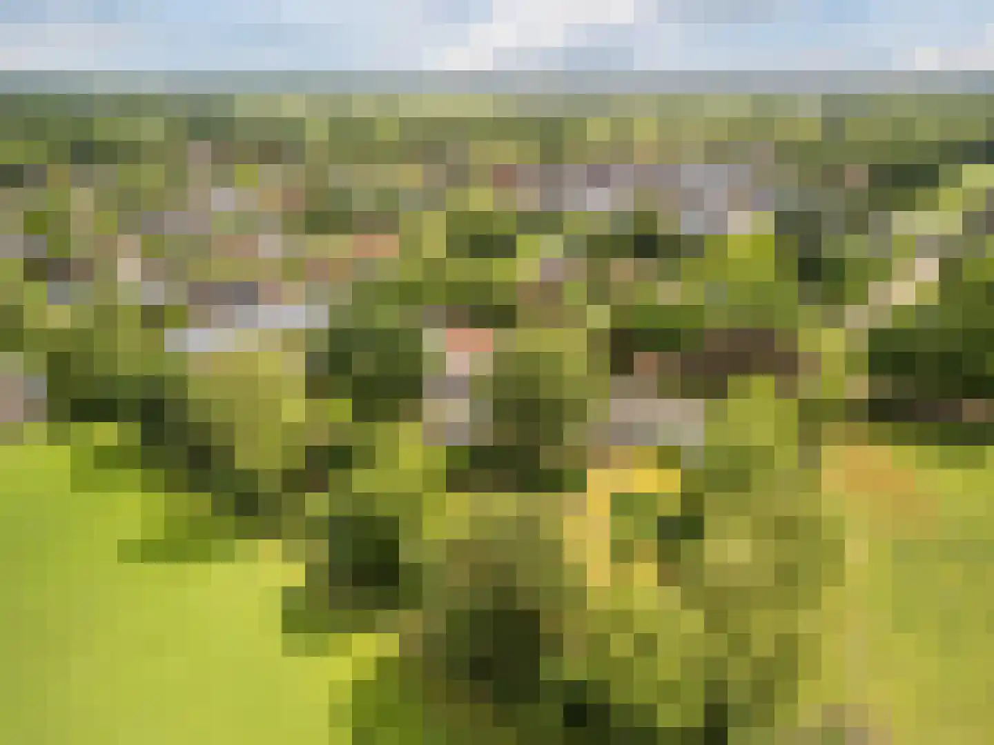 Hoogemierdseweg 20 Lage Mierde thumbnail 37
