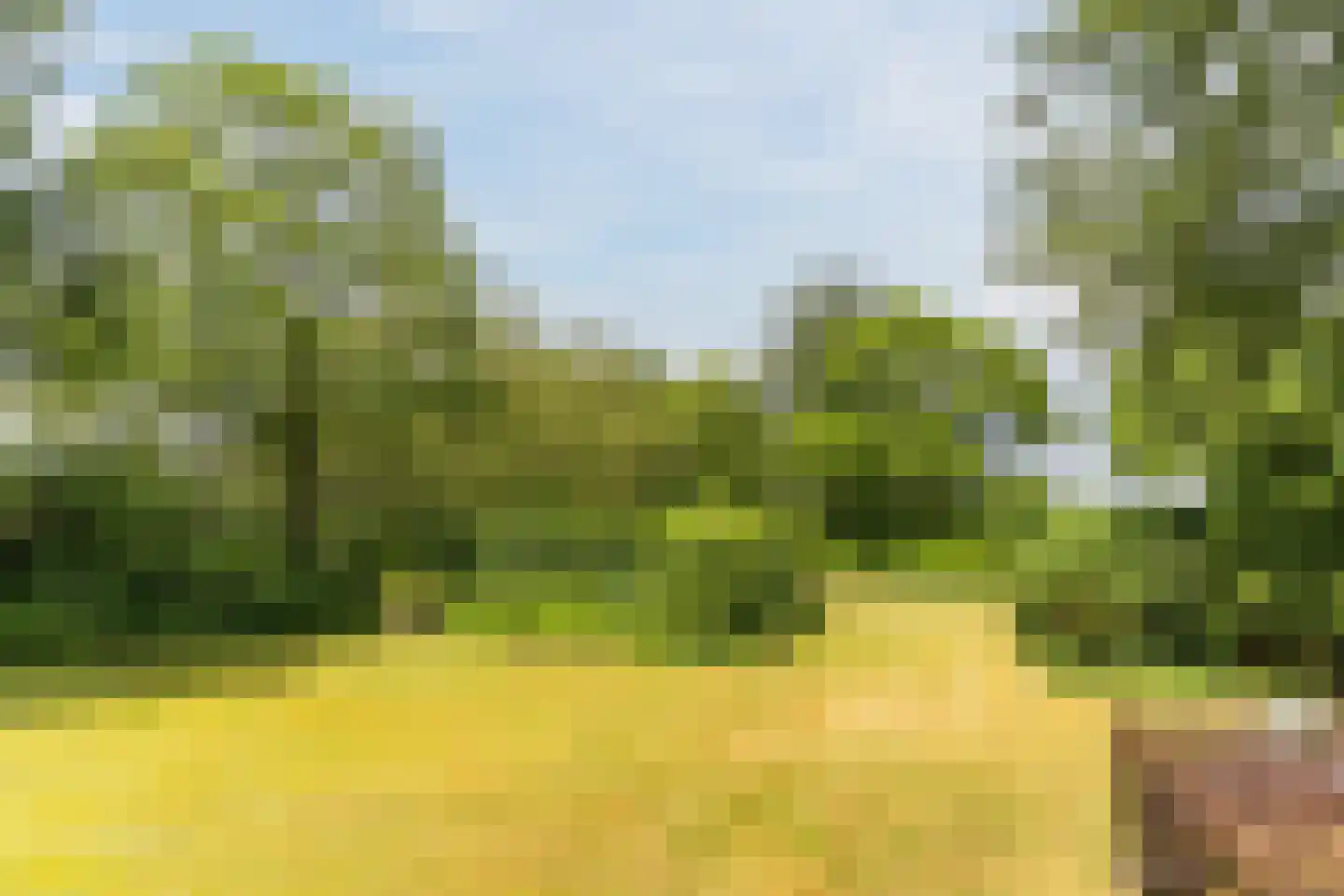 Hoogemierdseweg 20 Lage Mierde thumbnail 38