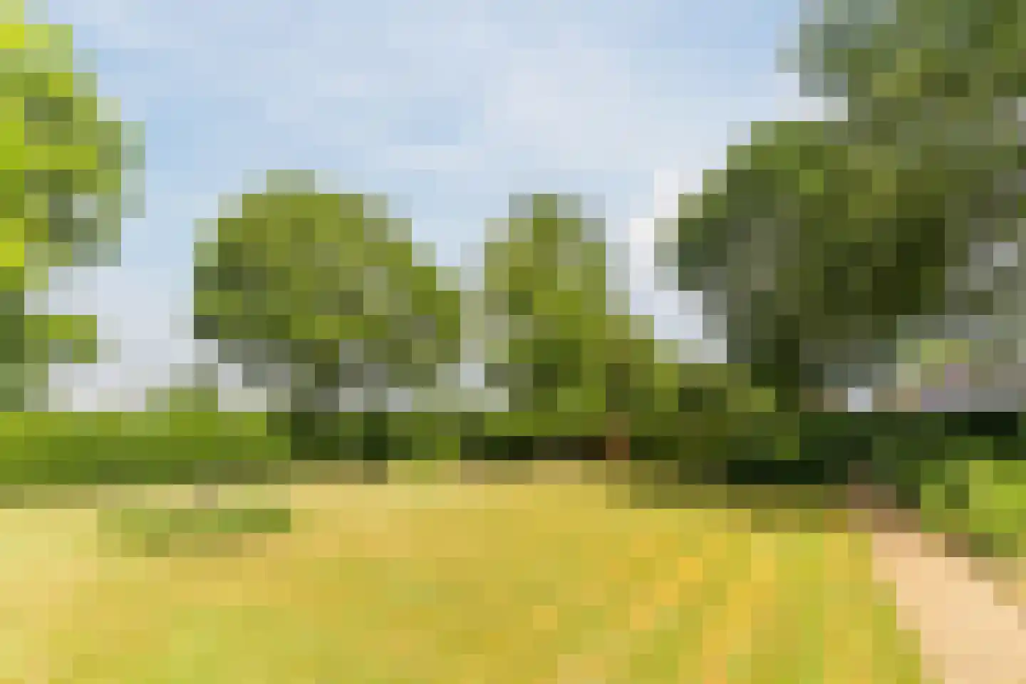 Hoogemierdseweg 20 Lage Mierde thumbnail 39