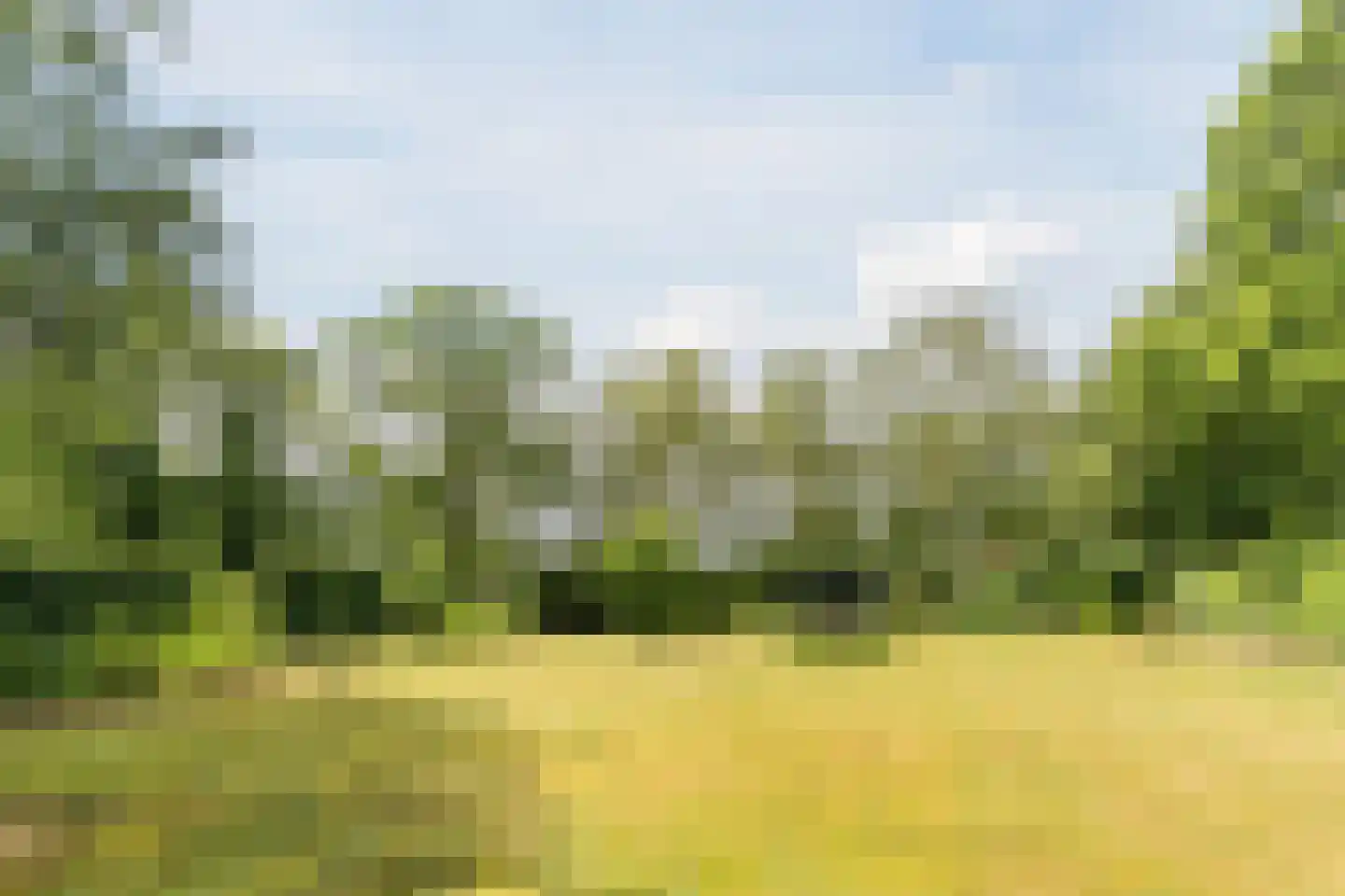 Hoogemierdseweg 20 Lage Mierde thumbnail 4