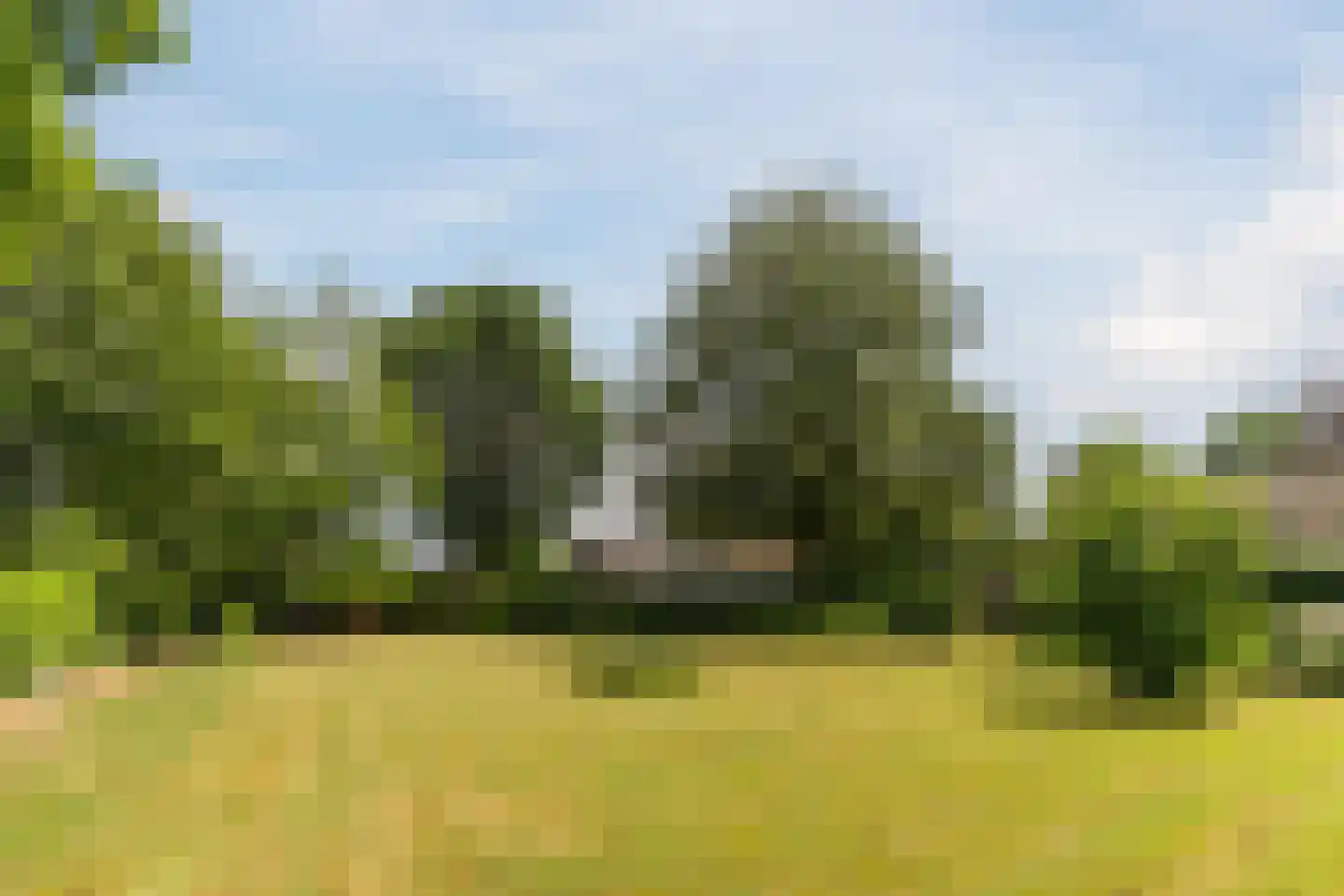 Hoogemierdseweg 20 Lage Mierde thumbnail 40