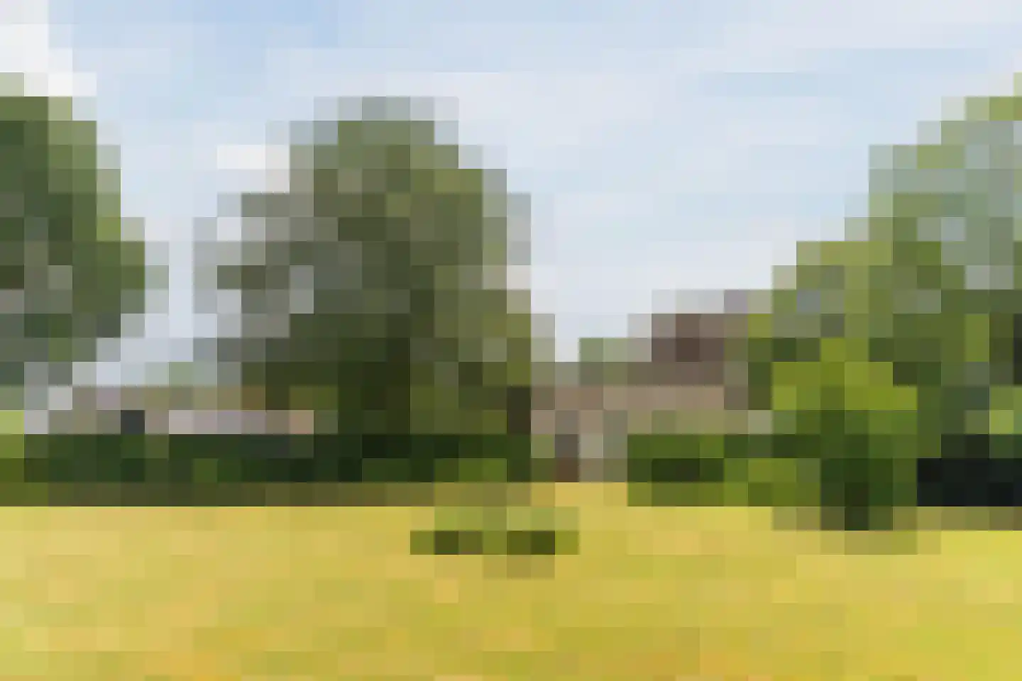 Hoogemierdseweg 20 Lage Mierde thumbnail 41