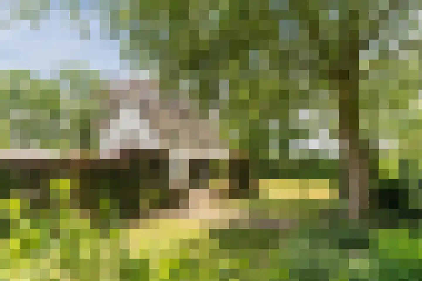 Hoogemierdseweg 20 Lage Mierde thumbnail 42