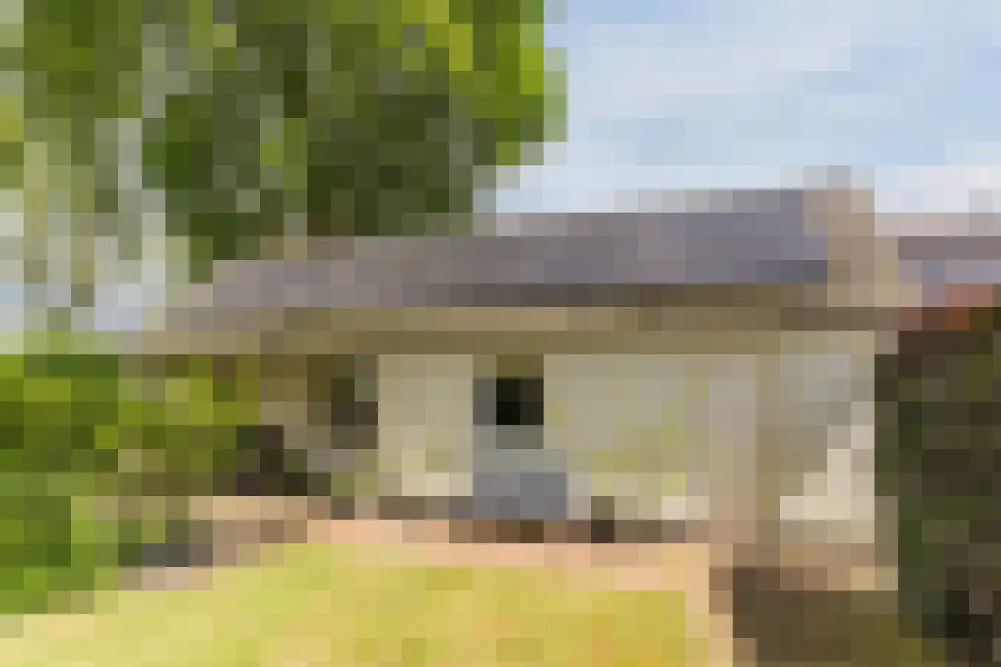 Hoogemierdseweg 20 Lage Mierde thumbnail 43