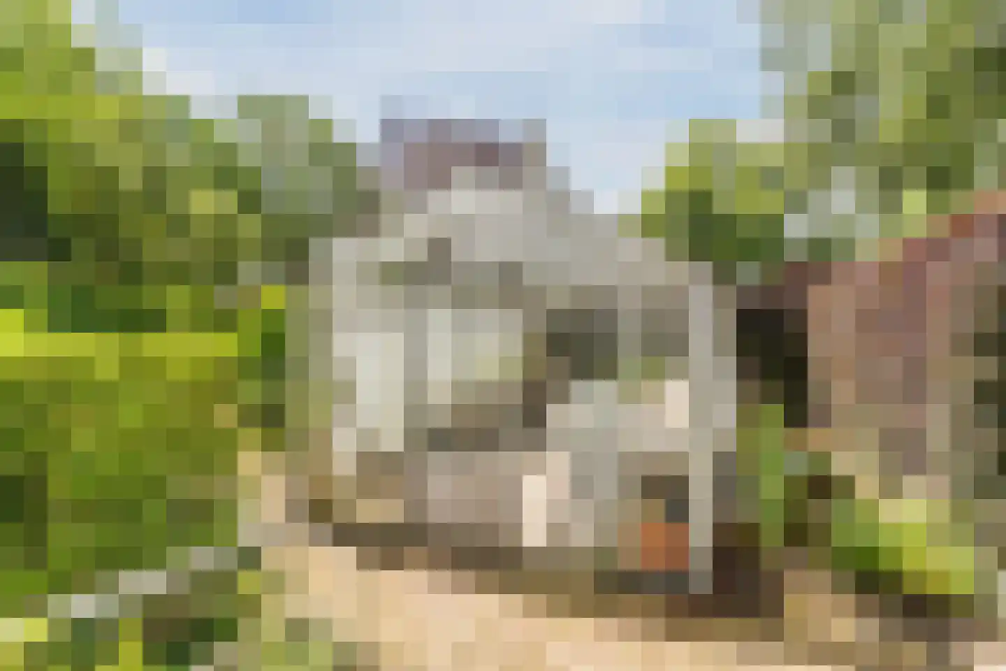 Hoogemierdseweg 20 Lage Mierde thumbnail 44