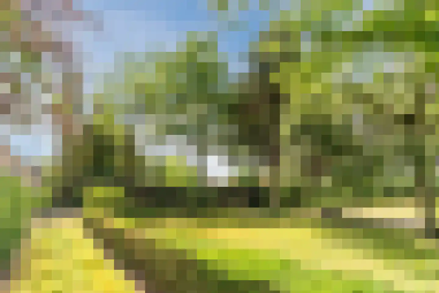 Hoogemierdseweg 20 Lage Mierde thumbnail 45