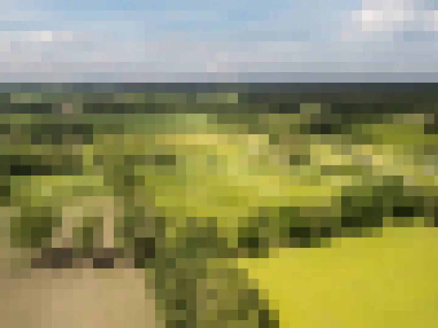 Hoogemierdseweg 20 Lage Mierde thumbnail 5