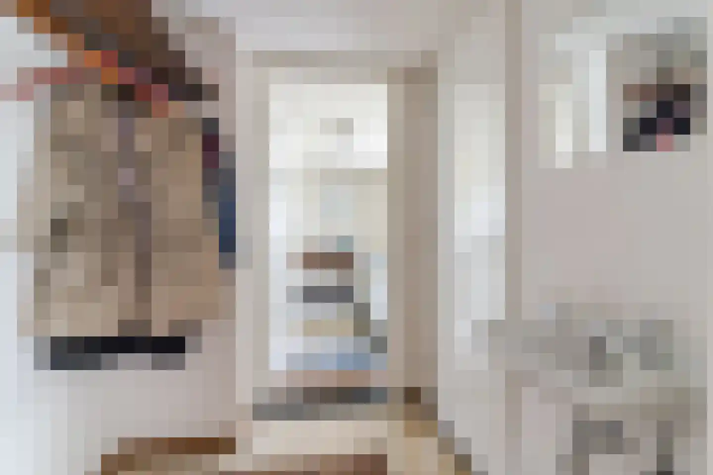 Hoogemierdseweg 20 Lage Mierde thumbnail 8