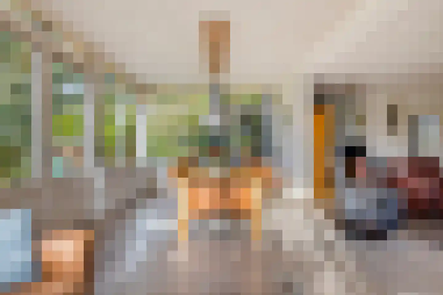 Hoogemierdseweg 33 Lage Mierde thumbnail 10