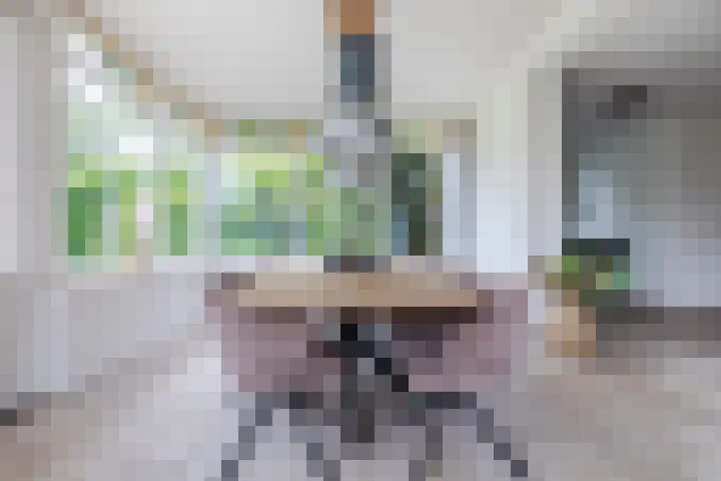 Hoogemierdseweg 33 Lage Mierde thumbnail 12