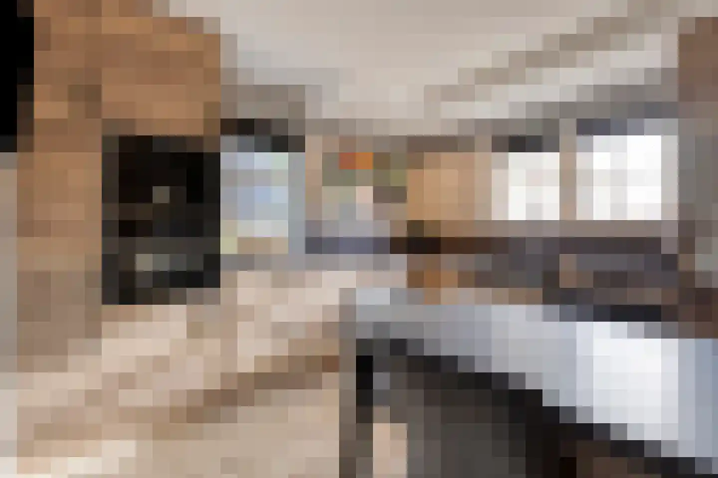 Hoogemierdseweg 33 Lage Mierde thumbnail 12