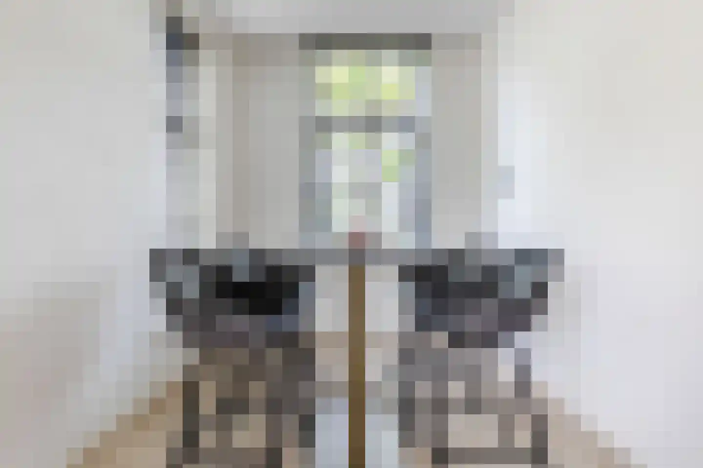 Hoogemierdseweg 33 Lage Mierde thumbnail 13