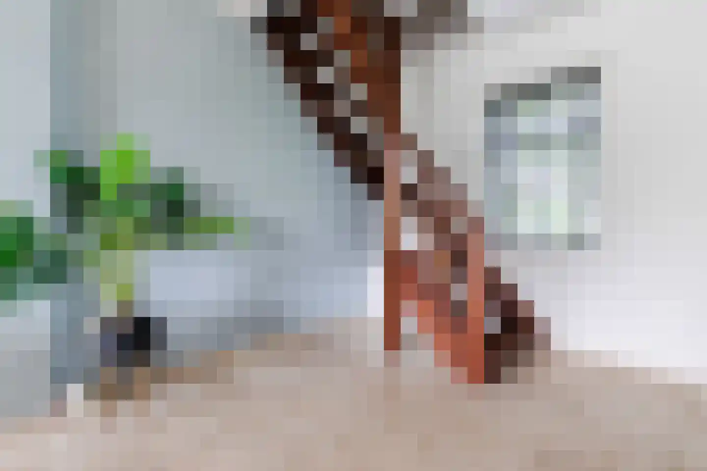 Hoogemierdseweg 33 Lage Mierde thumbnail 14