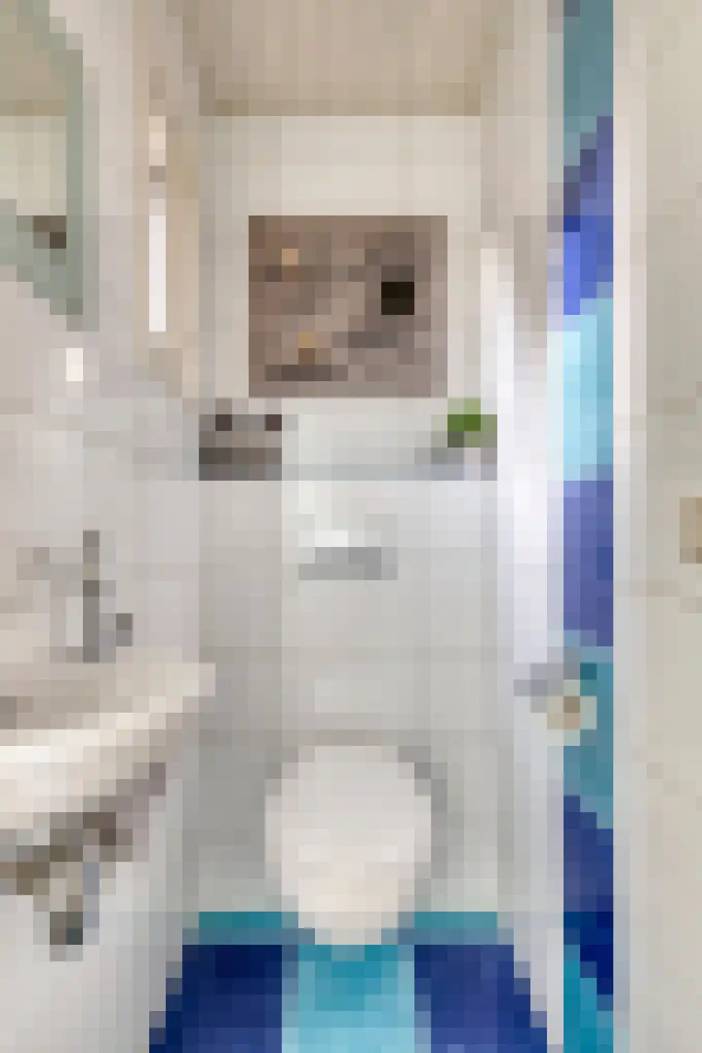Hoogemierdseweg 33 Lage Mierde thumbnail 17