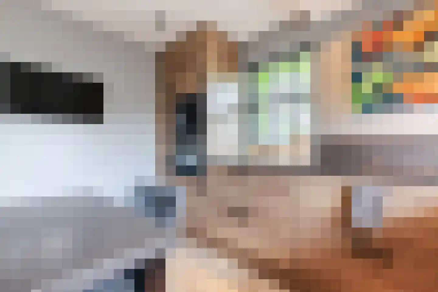 Hoogemierdseweg 33 Lage Mierde thumbnail 19
