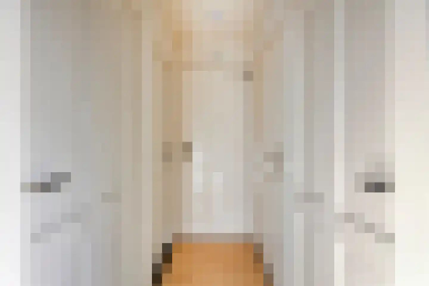Hoogemierdseweg 33 Lage Mierde thumbnail 20