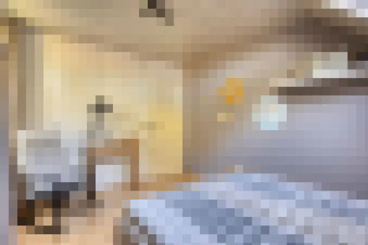 Hoogemierdseweg 33 Lage Mierde thumbnail 24
