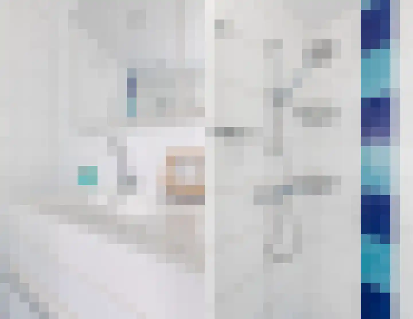 Hoogemierdseweg 33 Lage Mierde thumbnail 26